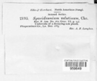 Image Associated With the Occurence